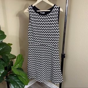 NWT Max Studio black white fit and flare dress